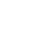 Icona: 100% vegano.